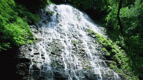 智能系统高标准